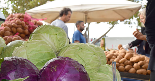 29-biologikes-laikes-protomagia