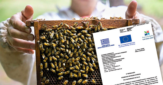 19-epidotiseis-biologiki-melissokomia