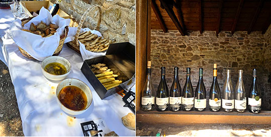 21-oikogeneia-georga-3