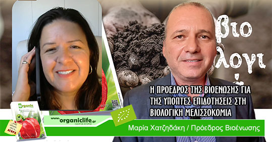 17-maria-xatzidaki---bioenosis