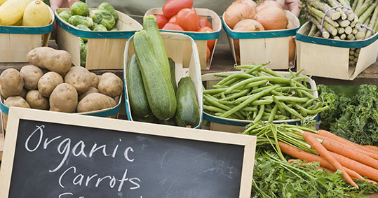 10-biologika-tsiaras