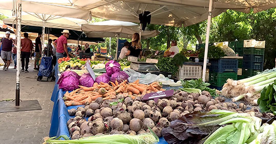 16-biologi-laiki-agora-argiroupoli