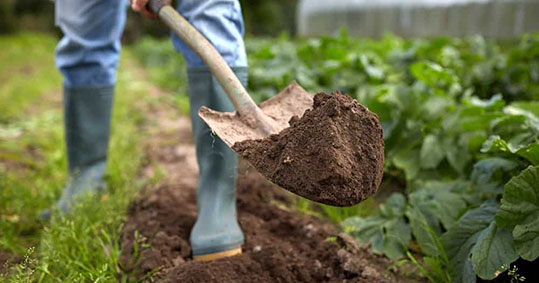 16-biologika-statistika-bio