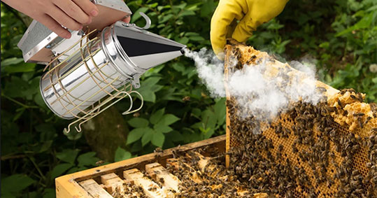 12-koinotita-biologikis-melissokomias