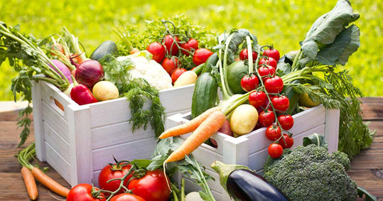 27-biologika-pliromes