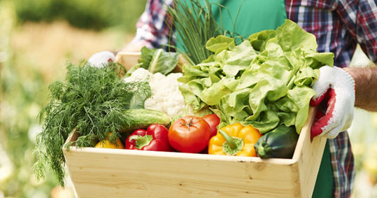 16-biologika-pos-elegxontai