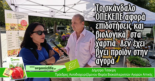 25-dimitra-tsakiri-proedros-biologikon-agoron-attikis