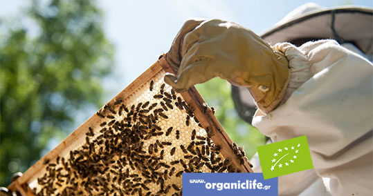 10-xatzidakis-biologika