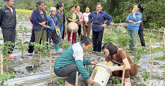 12-biologika-proionta