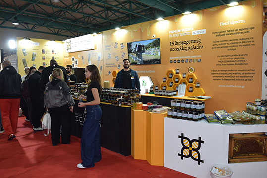 11-festival-meliou-meli-helmos