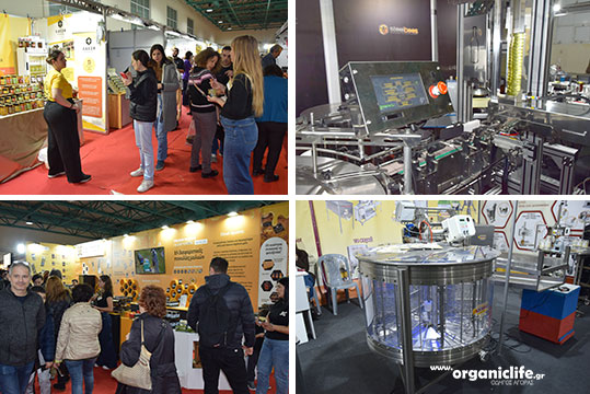 11-festival-meliou-tet-3