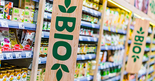 13-istoriko-poliseon-biologikon