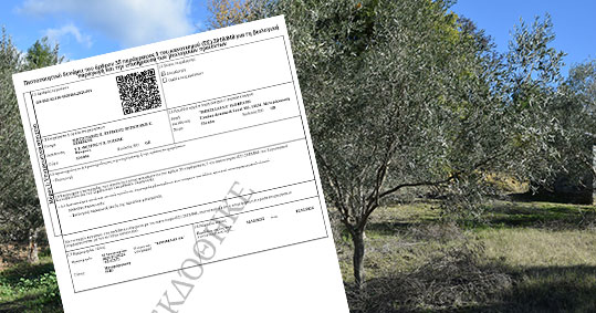 16-kiriakos-mitsotakis-biologika