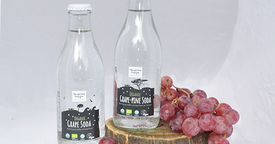 18-biologiki-soda-oikogeneia-georga