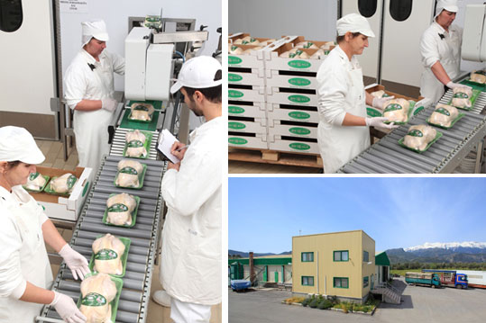 28-biologiko-kotopoulo-6