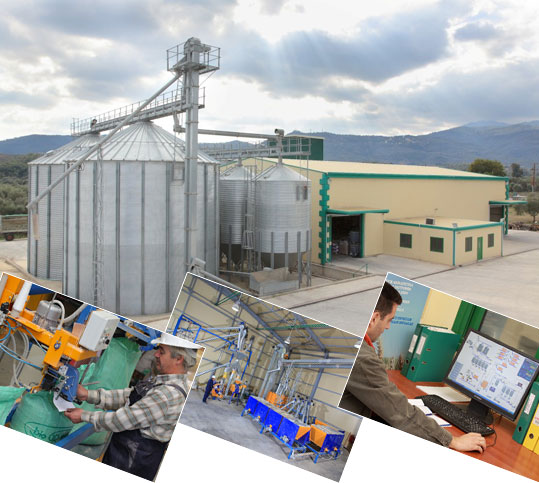 28-biologiko-kotopoulo-7