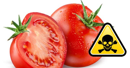 05-ntomata