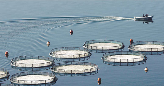 10-ixthiokalliergeia