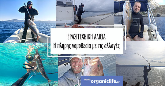 26-erasitexniki-alieia-b