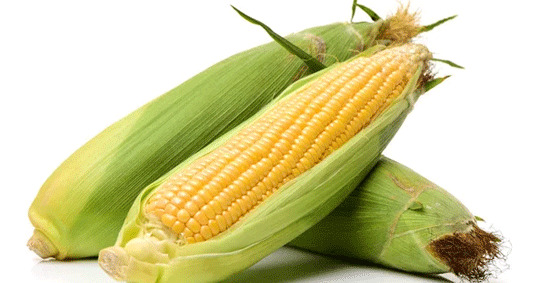 18-corn