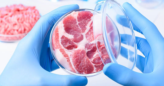 19-kalliergimeno-kreas