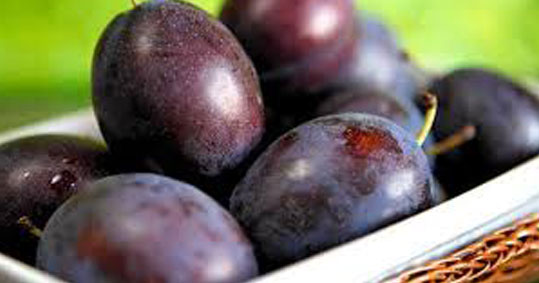 13-osta-kolagono-frouto