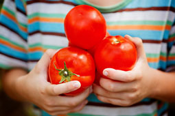 08-tomates-9