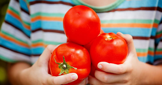 08-tomates