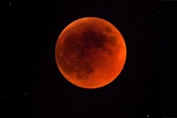 red_9