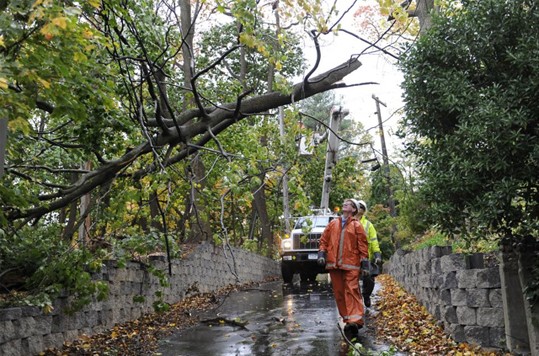 000-aadestructionlongisland