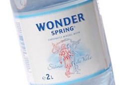wonder_9
