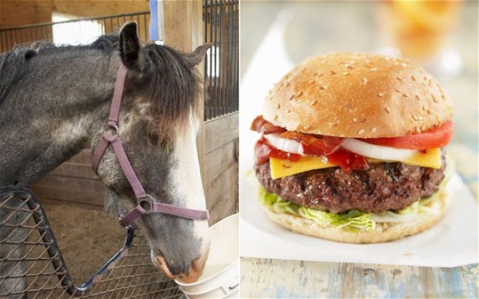 horse_meat