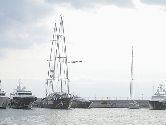 06-raibow-warrior-19