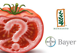 19-monsanto-9