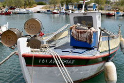 19-psarema-9