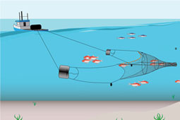 06-trata-9