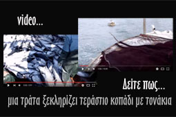12-trata-9