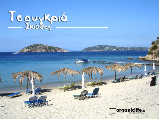 29-tsougkria-skiathos