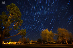 11-asteria-9