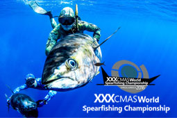 15-siros-9