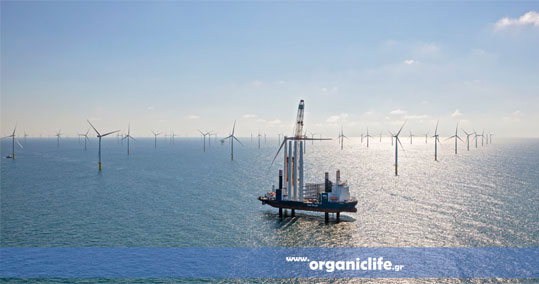 11-gemini-aioliko-parko