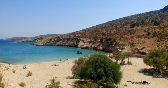 30-sxoinousa-psili-ammos