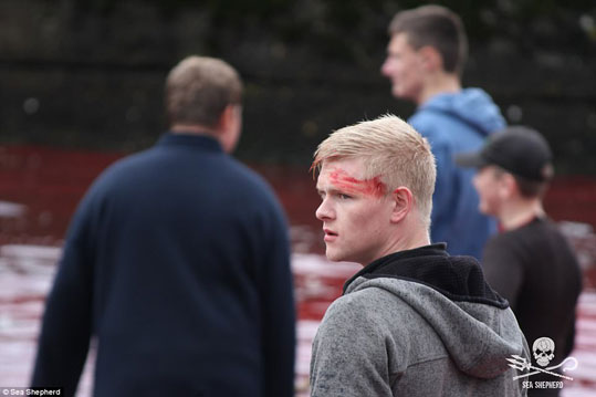 09-delfinia-feroes-4