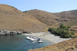 15-broskopos-9