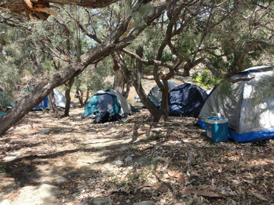 15-broskopos-prasino