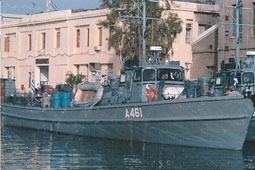29-araxthos-9