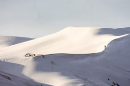 09-sahara-9