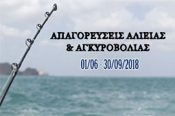 29-alieia-9