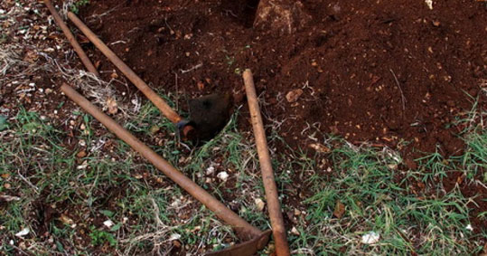 08-meleneklis-tafos-alistrati-serres