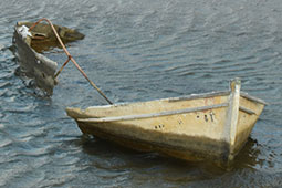 15-barka-9
